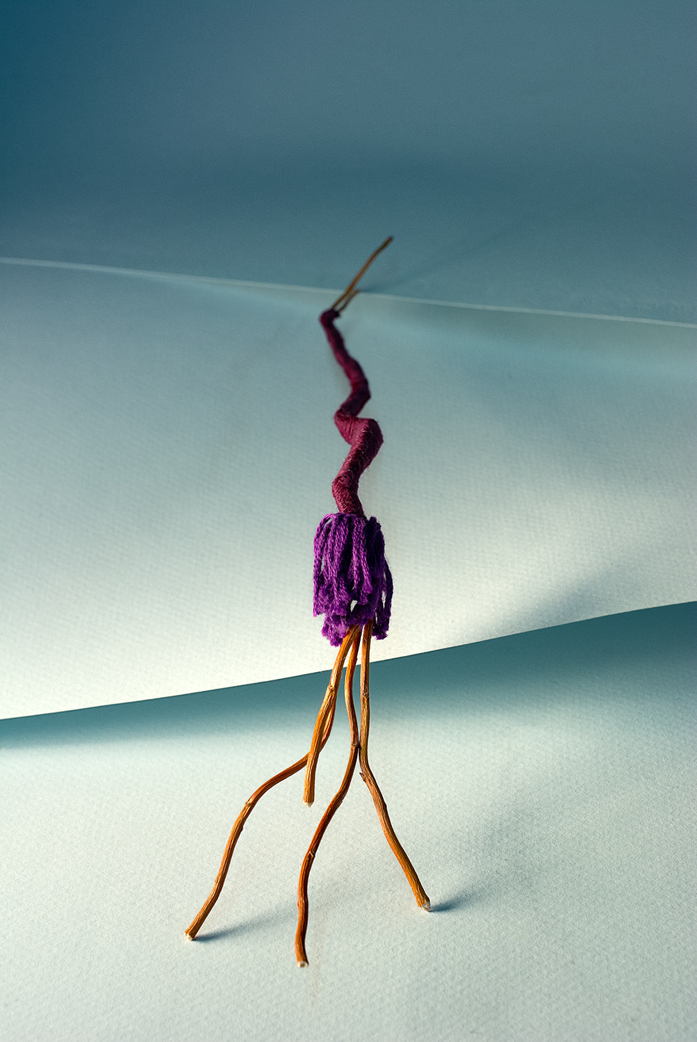 Blue Paper, Four Appendage Twigs Organism With Purple Thread. ©2019