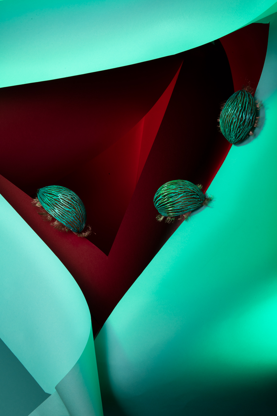 Red and Green Paper, Green Coleoptera with Copper Cilia © 2022